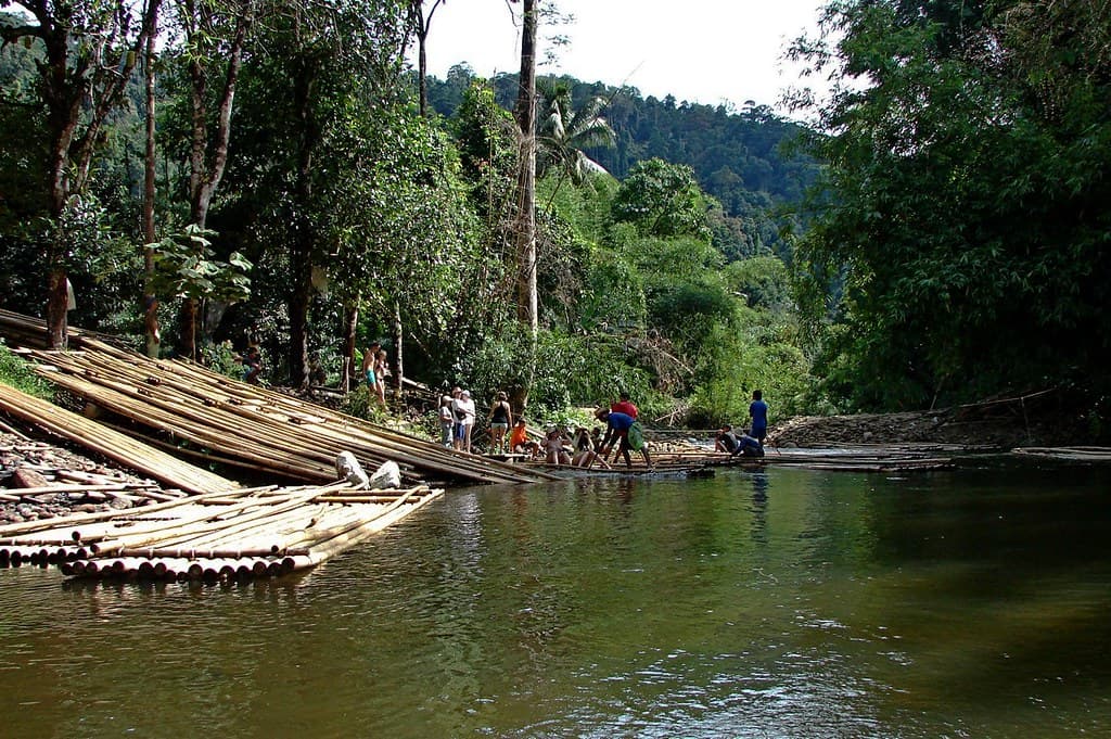 Bamboo rafts on a river near Khao Lak