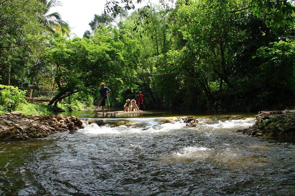 Bamboo rafting on a river near Khao Lak