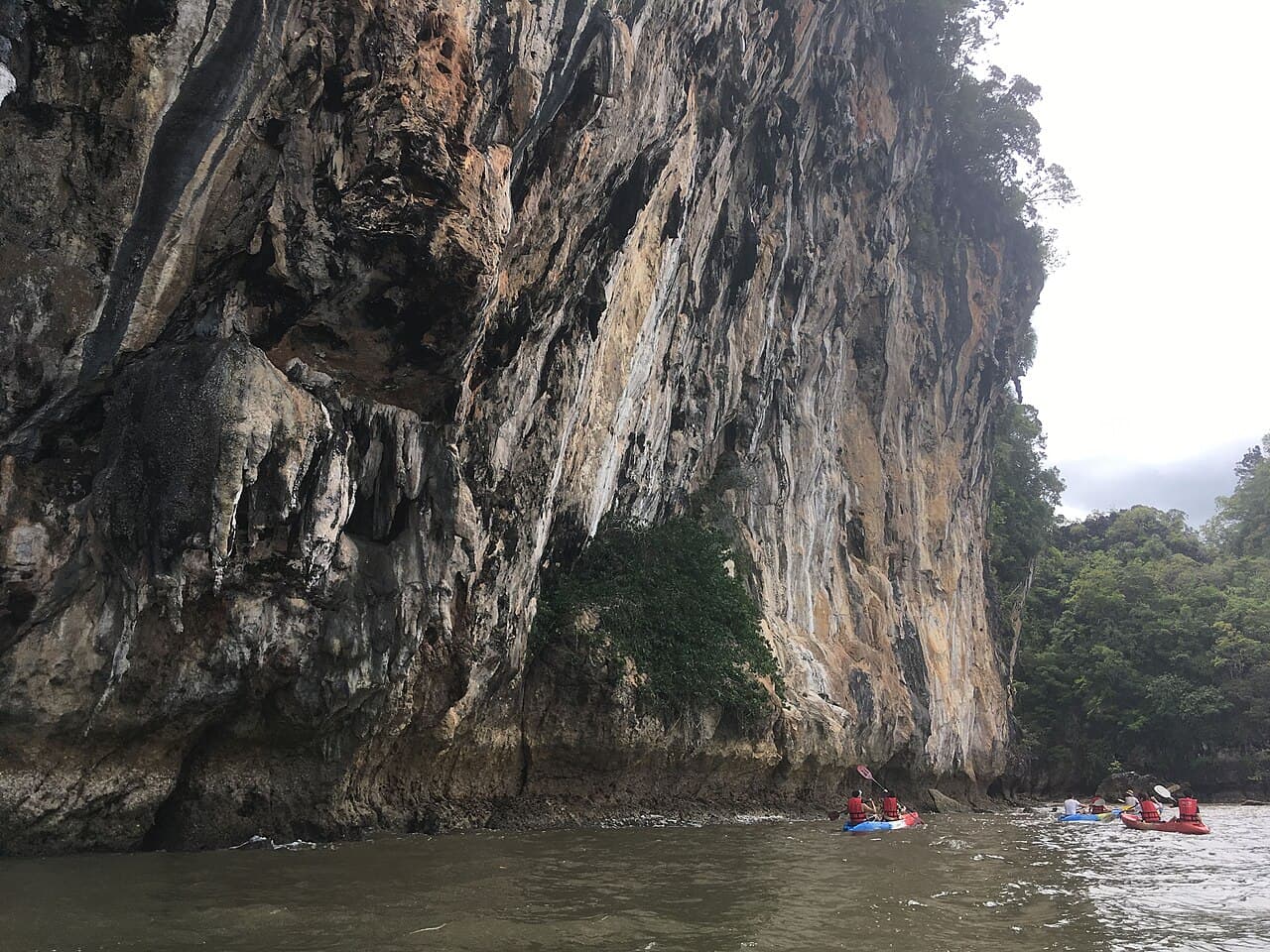 Ao Thalane mangroves, Krabi