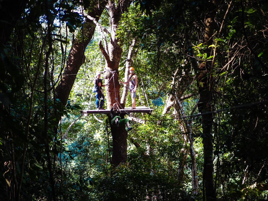 A zipline platform in the rainforest near Chiang Mai (a similar activity, not Hanuman World)